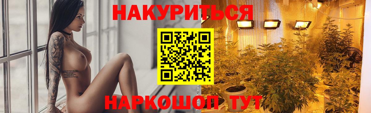 Шишки марихуана конопля Майкоп